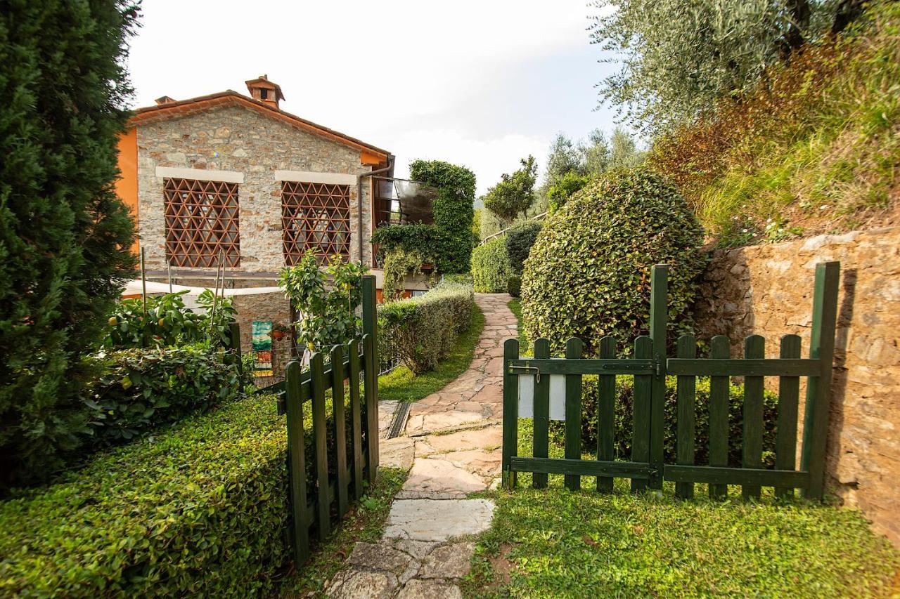 Casetta Di Butia, Gelsomino Apartment Borgo a Mozzano Eksteriør bilde