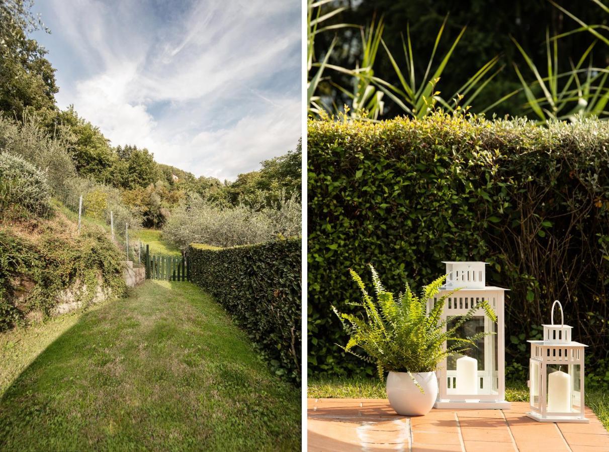 Casetta Di Butia, Gelsomino Apartment Borgo a Mozzano Eksteriør bilde