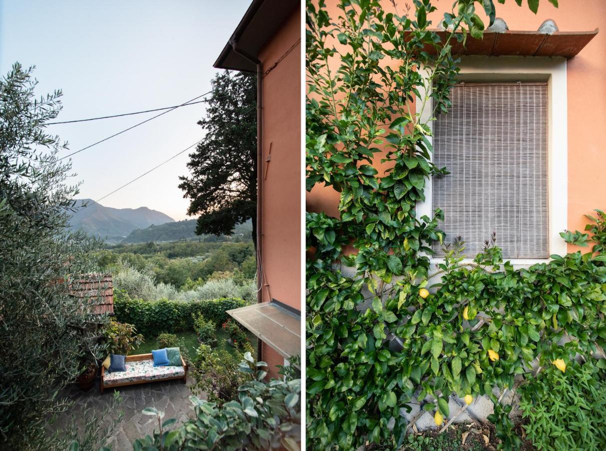 Casetta Di Butia, Gelsomino Apartment Borgo a Mozzano Eksteriør bilde