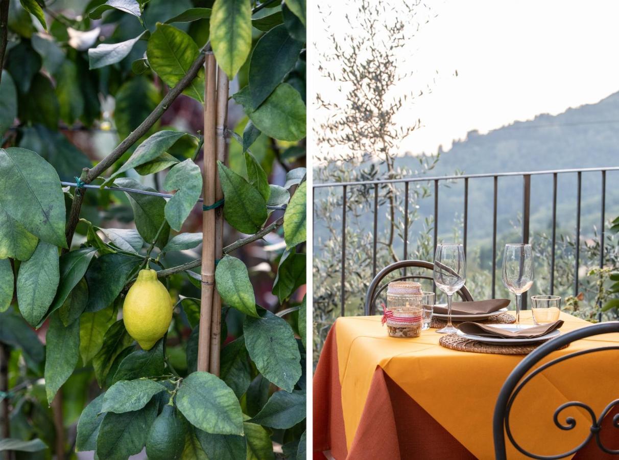 Casetta Di Butia, Gelsomino Apartment Borgo a Mozzano Eksteriør bilde