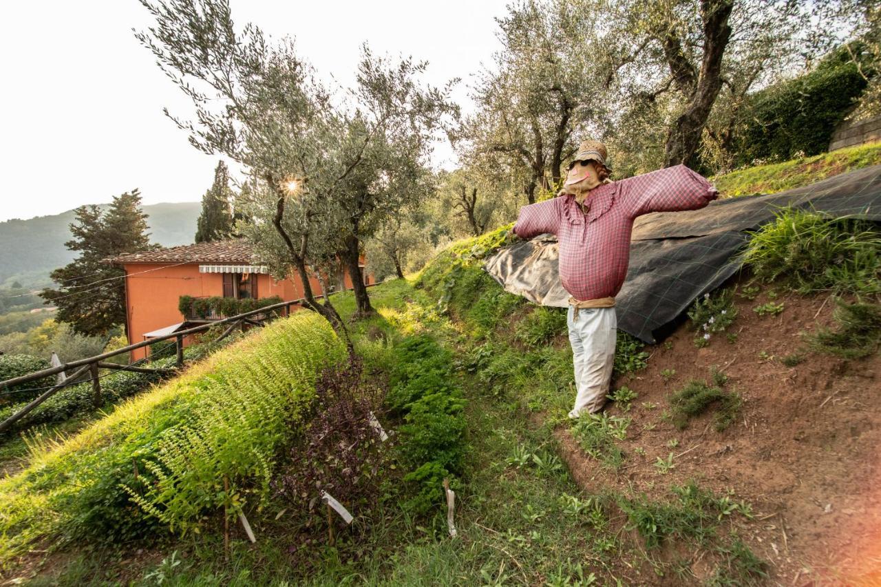 Casetta Di Butia, Gelsomino Apartment Borgo a Mozzano Eksteriør bilde